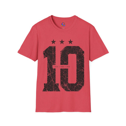 Vintage Argentina Worldcup winning No. 10 Jersey T-Shirt — Distressed Number Tee with Three Stars