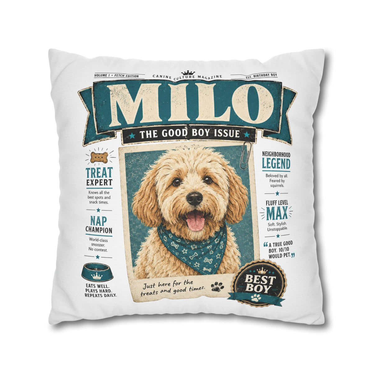 Personalized Dog Pillowcase — "Milo: The Good Boy Issue" Decorative Throw Pillowcase Milo Bailey Dog Dad Mom