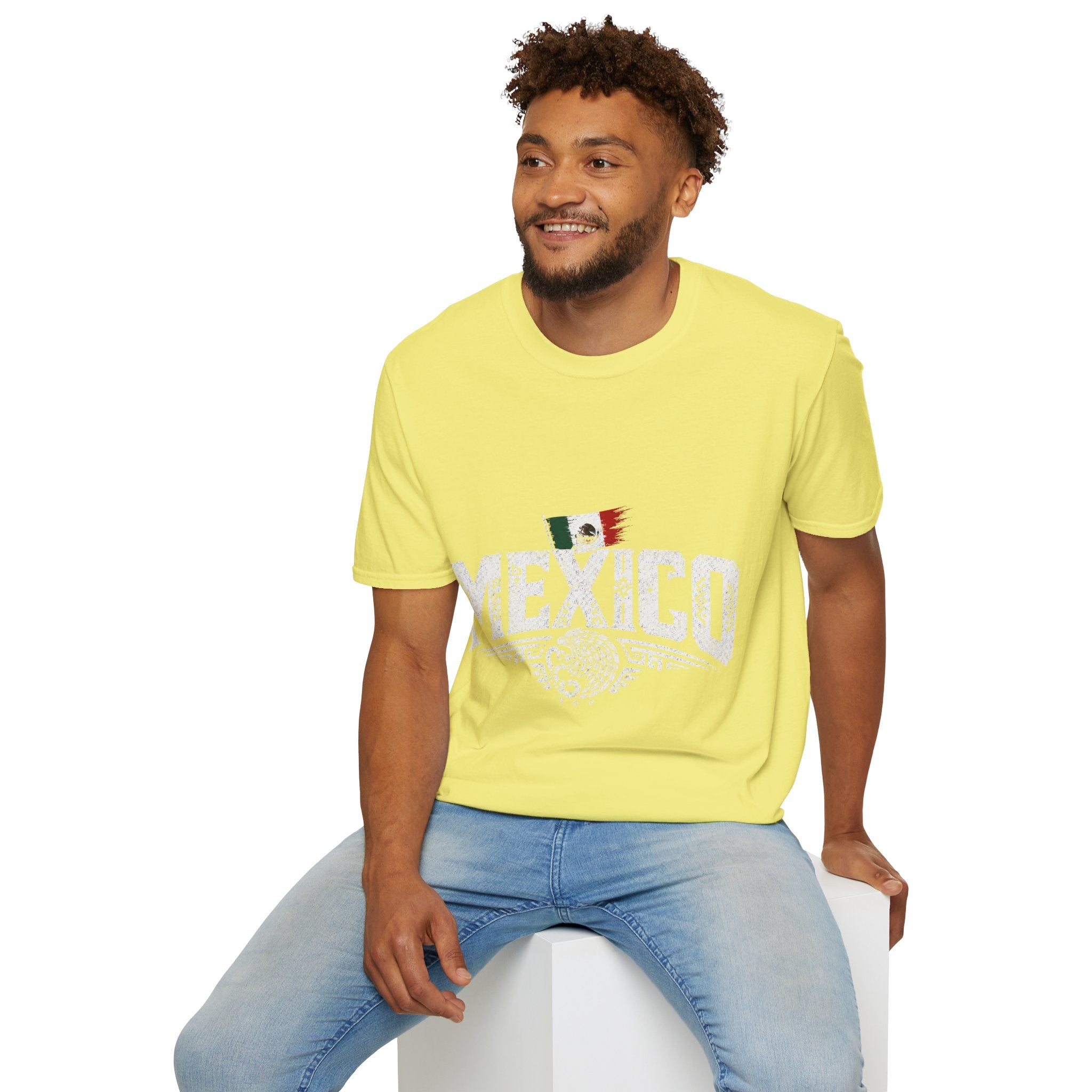 Mexico Vintage Flag T-Shirt
