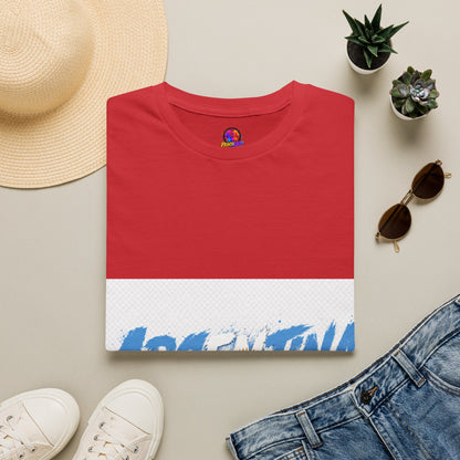 Argentina Graphic T-Shirt — Argentina Typography Tee with Sun & Flag Colors