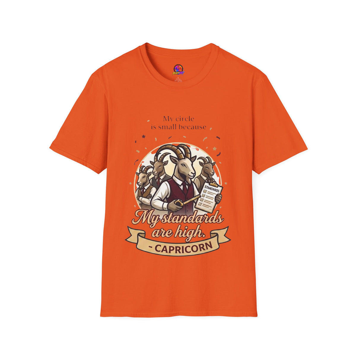Capricorn Zodiac T-Shirt — "My Standards Are High" Astrology Tee