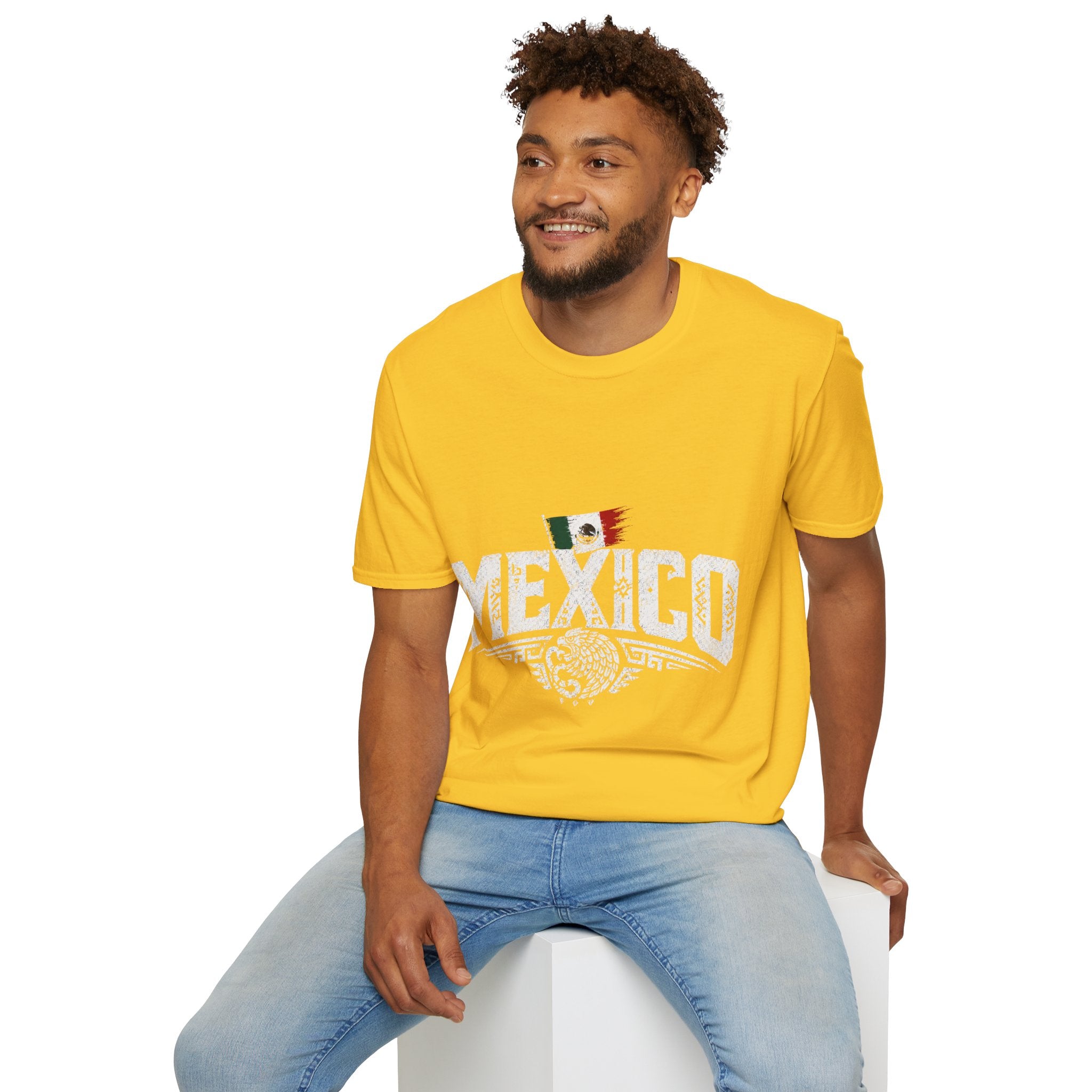 Mexico Vintage Flag T-Shirt