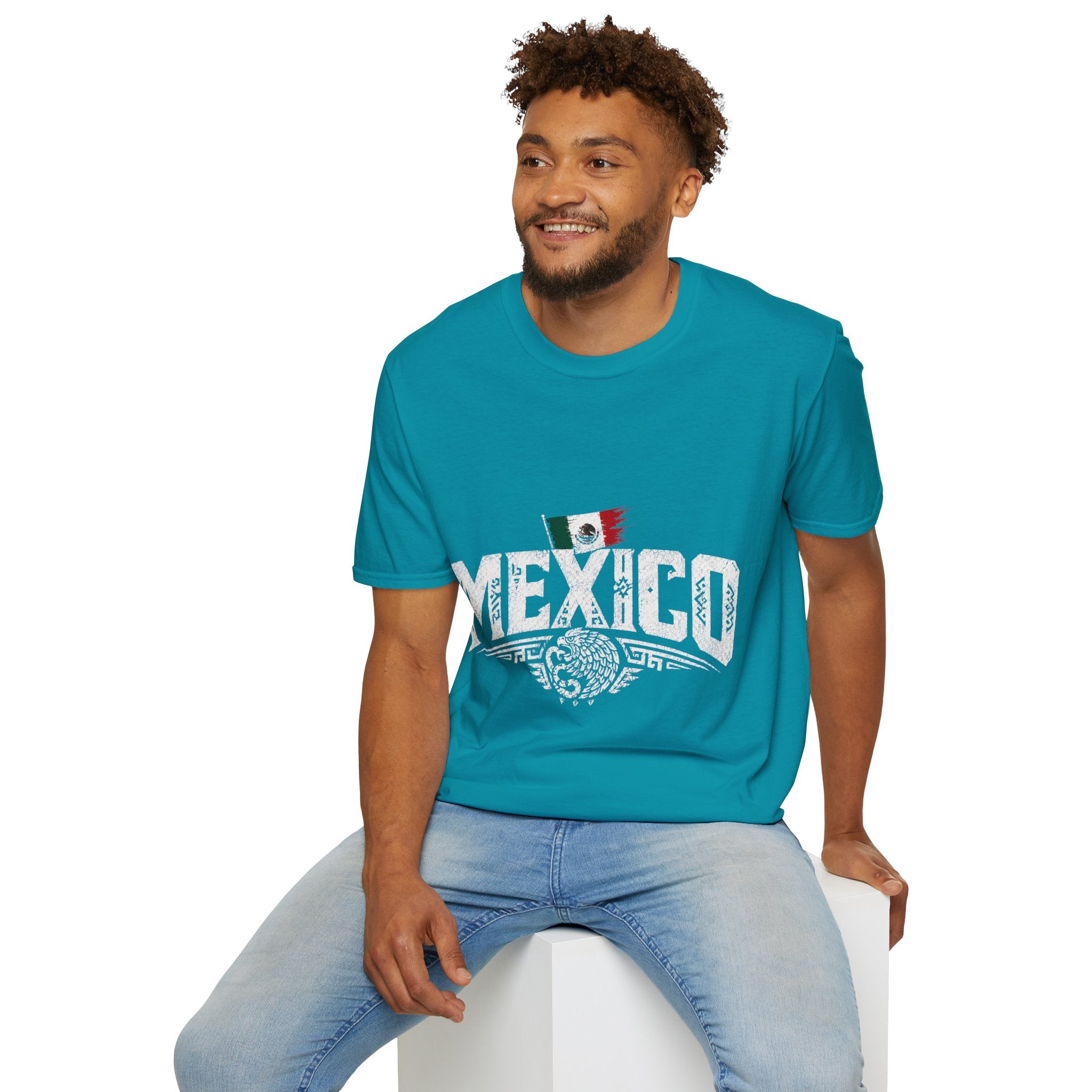 Mexico Vintage Flag T-Shirt