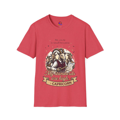 Capricorn Zodiac T-Shirt — "My Standards Are High" Astrology Tee