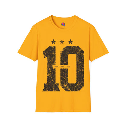 Vintage Argentina Worldcup winning No. 10 Jersey T-Shirt — Distressed Number Tee with Three Stars