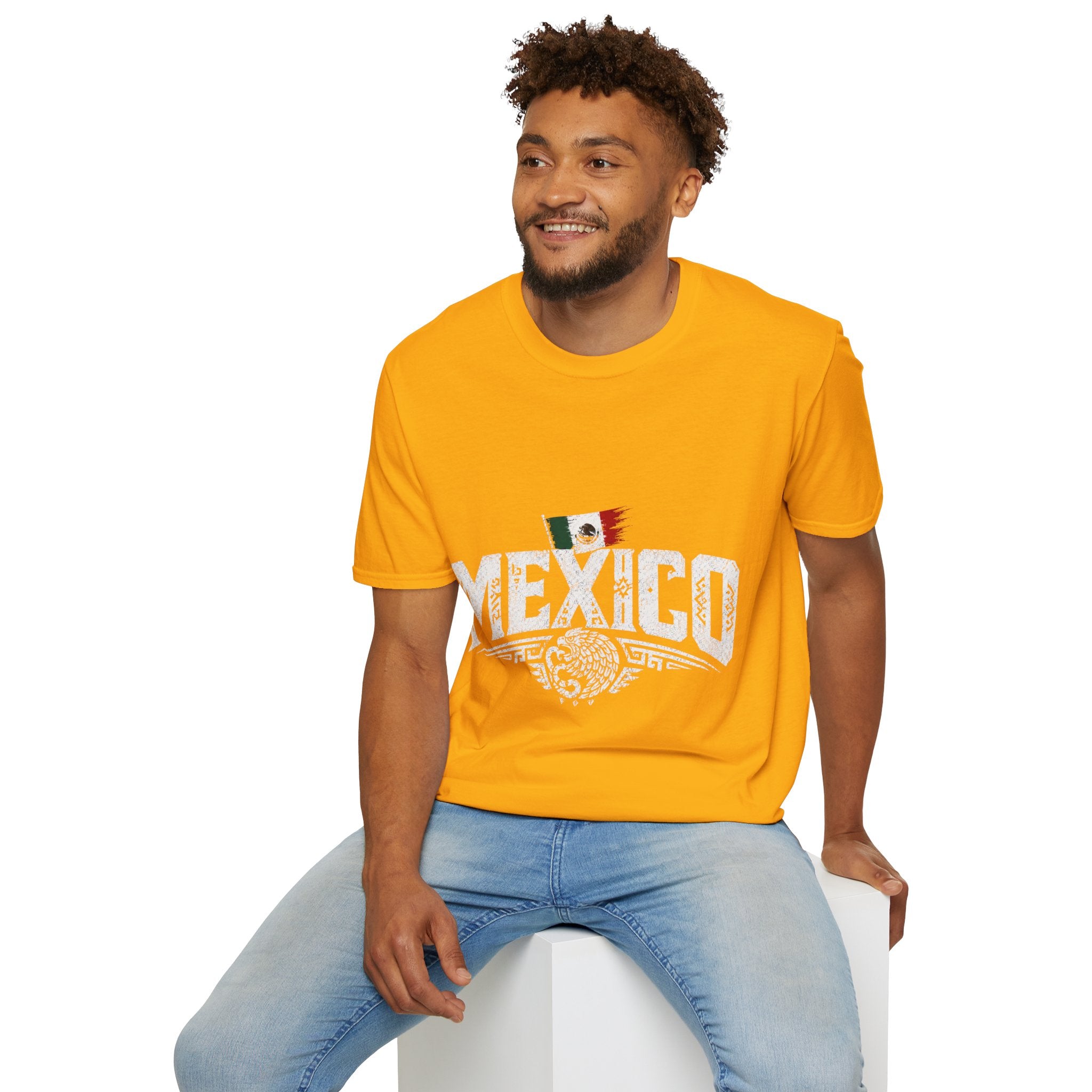 Mexico Vintage Flag T-Shirt