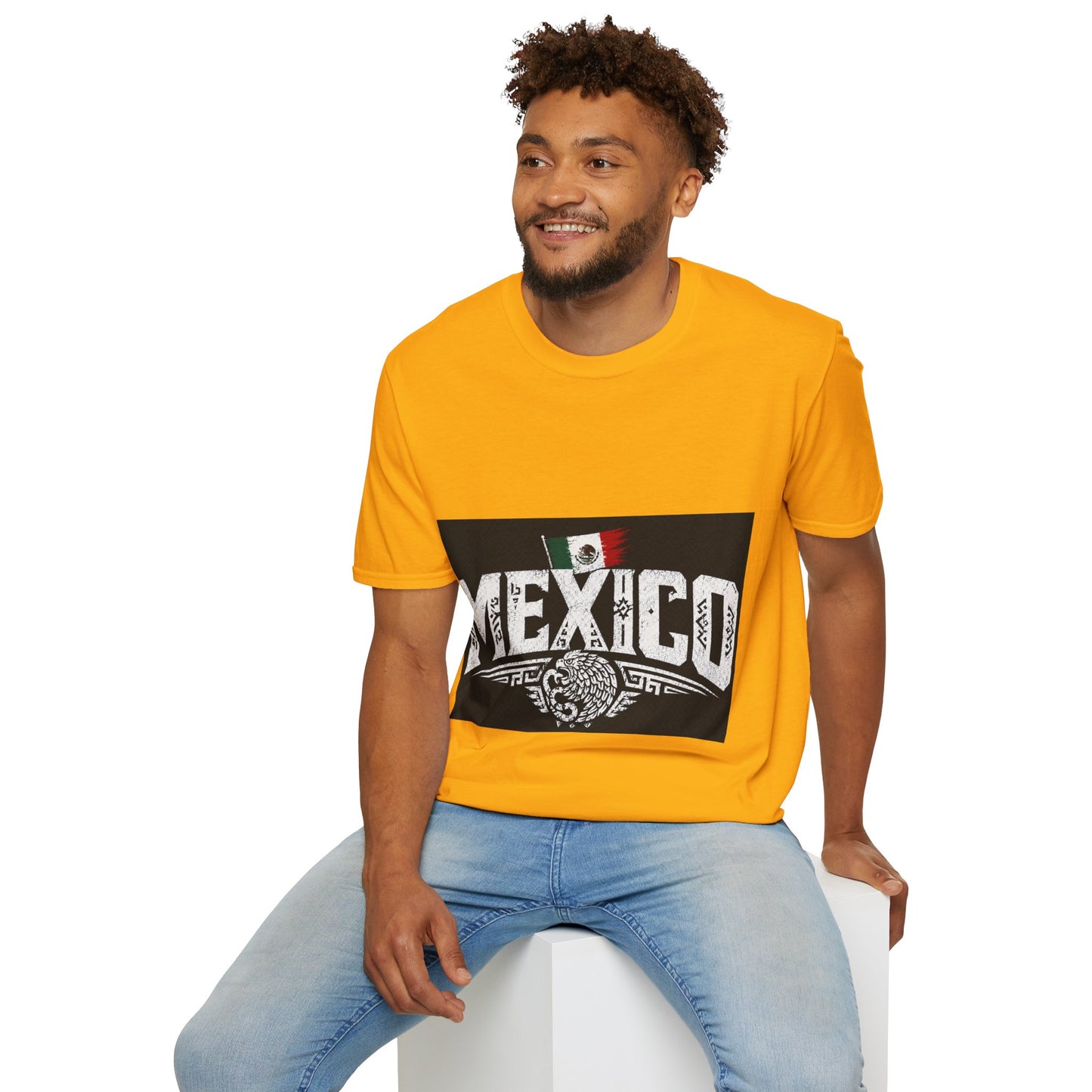 Mexico Vintage Flag T-Shirt